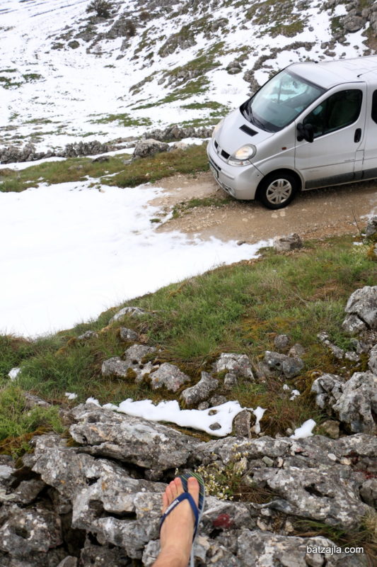 renault trafic balkan