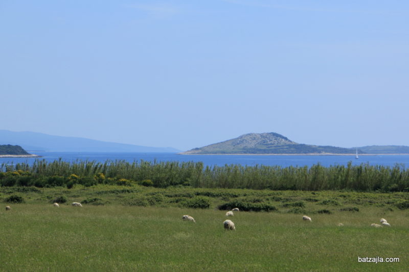 unije-croatia-island (25)